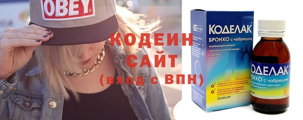 индика Нея