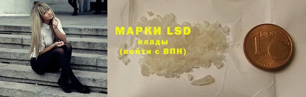 индика Нея