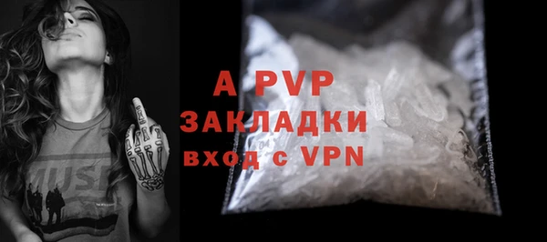 индика Нея