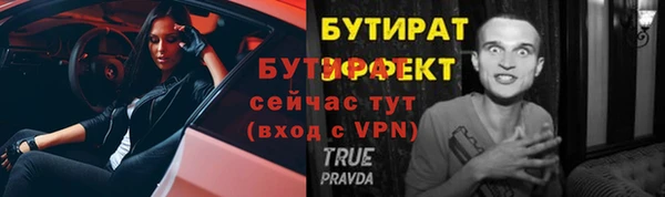 индика Нея