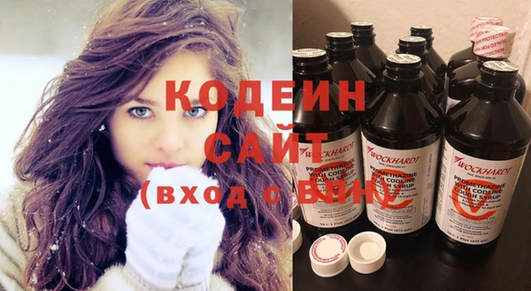 индика Нея