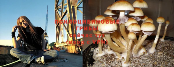 марихуана Нефтекумск