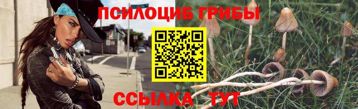 Псилоцибиновые грибы ЛСД Истра